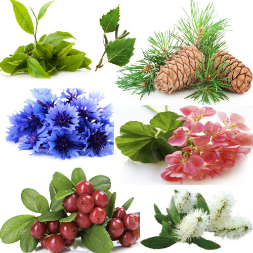 Купаж №50а СО2 экстракт для лифтинга лица при жирной коже (водорастворимый)  